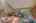 Blurred preview of media: 260141-6