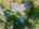 Blurred preview of media: 1-41