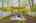Blurred preview of media: 66