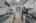 Blurred preview of media: 10