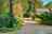 Blurred preview of media: 80