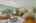 Blurred preview of media: SW 41st ave-08