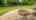 Blurred preview of media: 123 Austin Run Ct-7