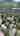 Blurred preview of media: Unknown media