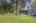 Blurred preview of media: 1-33