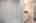 Blurred preview of media: IMG_0418