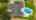 Blurred preview of media: 20141-1