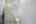 Blurred preview of media: DSC01318