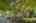 Blurred preview of media: 1-3