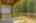 Blurred preview of media: 80 Riviera-15