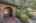 Blurred preview of media: 5500MeadowOakSt-3