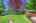 Blurred preview of media: 01