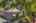 Blurred preview of media: Aerial 02