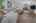 Blurred preview of media: 10