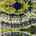 Blurred preview of media: 34 Cutter Lane Amesbury Massachusetts Job 41195 0022