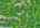 Blurred preview of media: DJI_20260616115336_0860_D_1_D_2_D_easyHDR