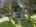 Blurred preview of media: DJI_0973