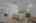 Blurred preview of media: DSC00802