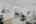 Blurred preview of media: 4774 Cates Ave-11