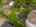 Blurred preview of media: DJI_20250606155403_0029_D