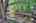 Blurred preview of media: IMG_5255_6_7_easyHDR