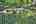Blurred preview of media: DJI_0319_20_21_easyHDR