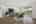 Blurred preview of media: 015