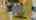 Blurred preview of media: 052