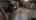 Blurred preview of media: 4-La-Jolla-Ln-02232022_202247