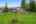 Blurred preview of media: IMG_5096