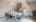 Blurred preview of media: IMG_8695