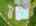 Blurred preview of media: 2-826-0573