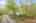 Blurred preview of media: 90 Frye Road Bolton Massachusetts Job 38664 0002