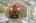 Blurred preview of media: 277 Main Street Bolton Massachusetts Job 38618 0100