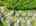 Blurred preview of media: 4-926-0187