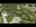 Blurred preview of media: Unknown media