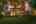 Blurred preview of media: bristowtwilight_012