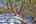 Blurred preview of media: IMG_0542_3_4_easyHDR