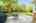 Blurred preview of media: 7 Wallis Ave, Smithville _ Nathan Ferro62
