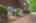 Blurred preview of media: DSC01239