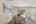 Blurred preview of media: 75644 Bridgewater Dr-45