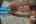 Blurred preview of media: Miss B Haven 37-7