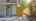 Blurred preview of media: 141Poinsettia-4
