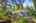 Blurred preview of media: 1-34