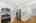 Blurred preview of media: 2bobwhite_041
