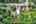 Blurred preview of media: DJI_0310_1_2_easyHDR