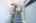 Blurred preview of media: 010-HDR