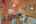 Blurred preview of media: IMG_2230_1_2