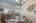 Blurred preview of media: 14