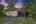 Blurred preview of media: IMG_2847